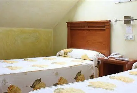 Pugide
