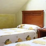 Pugide